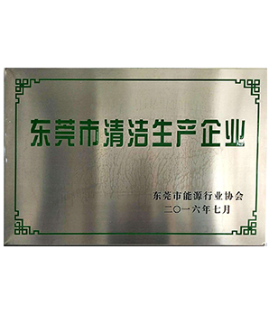 Clean Production Enterprise of Dongguan