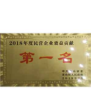 2018 First Prize Taxpayer of Chashan Town Private Enterprise