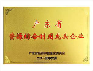 资源综合利用龙头企业
